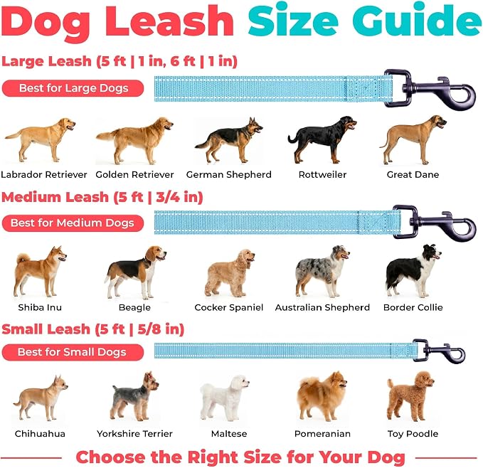 Best Pet Supplies Voyager Reflective Dog Leash or Collar with Neoprene Handle, for Small, Medium, and Large Breed Puppies, Cute and Heavy Duty for Walking, Running and Training - Baby Blue (Leash), S