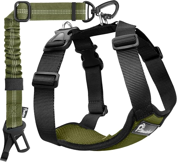 Pawaboo Dog Seat Belt Harness for Car, Dog Car Harness Seatbelt with Double Clips, Adjustable Breathable Pet Vest & Dogs Safety Tether with Elastic Bungee for Small Medium Large Pet, M,Green + Black