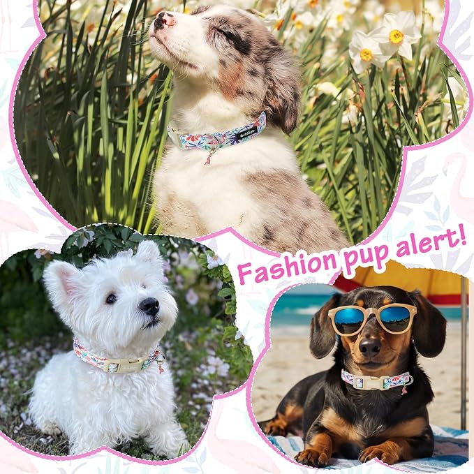 Summer Dog Collar for Small Dogs，Cute Puppy Collars with Flamingo & Palm Leaves Parttern, Quick Release Buckle for Small Medium Large Dogs, Fashion Pet Collar for Girl Boy Dog-S
