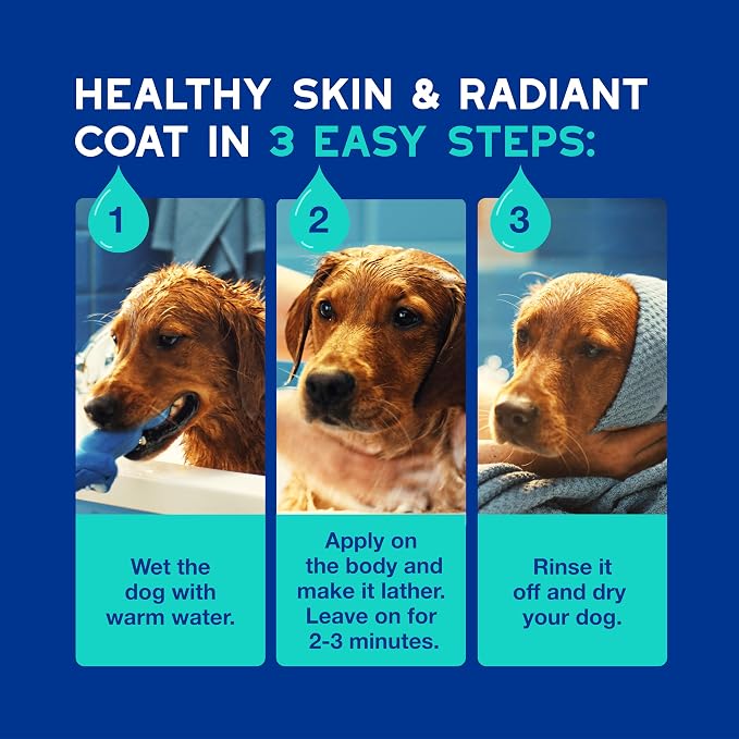 DOUXO SPA Dog Shampoo for Smelly Dogs, 16 fl oz, Hydrates the Skin, Removes Bad Odor, Leaves the Coat Soft and Smelling Great, Ultra-Safe Formula