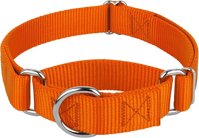Country Brook Petz - Martingale Dog Collar - Heavy-Duty Training Collar with No Buckle - Service Dog Collar for All Pups - 20 Vibrant Colors (Orange, 5/8 Inch, Extra Small)