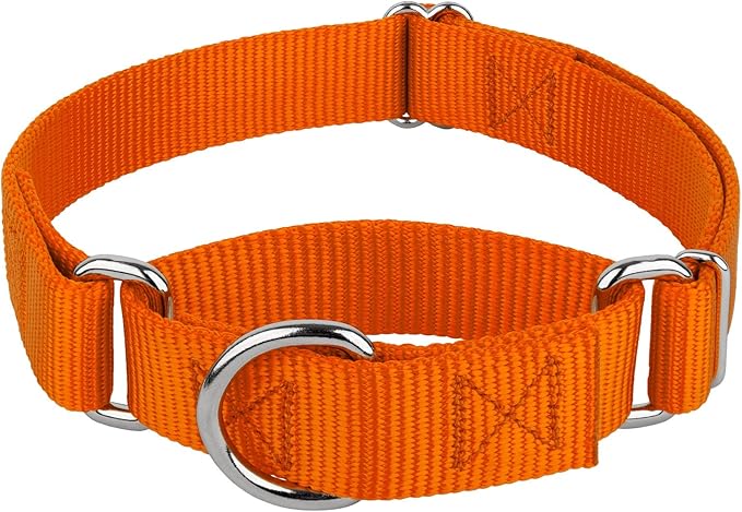 Country Brook Petz - Martingale Dog Collar - Heavy-Duty Training Collar with No Buckle - Service Dog Collar for All Pups - 20 Vibrant Colors (Orange, 1 Inch, Medium)