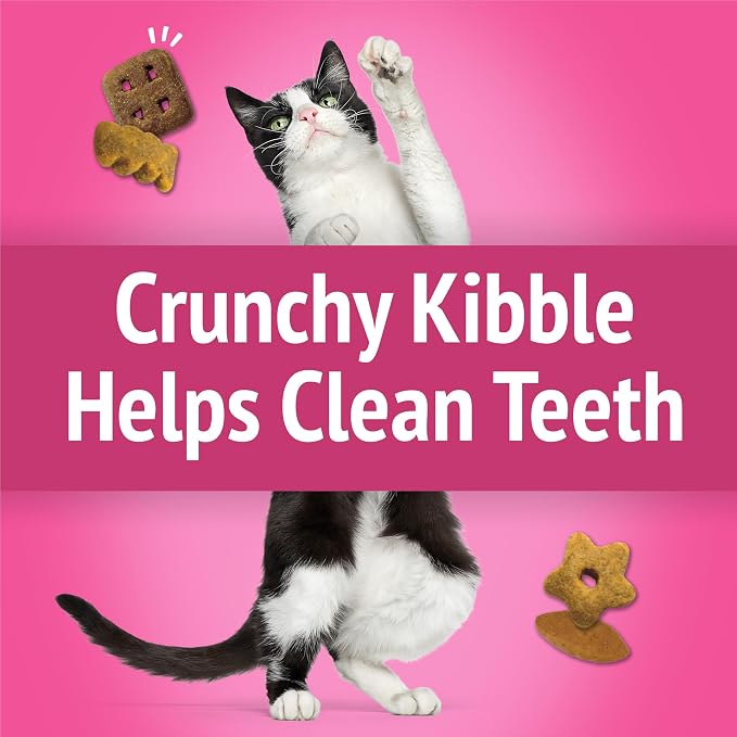 Friskies Purina Party Mix California Crunch with Chicken and Flavors of Turkey and Bacon Cat Treats - 20 oz Canister (Pack of 2)