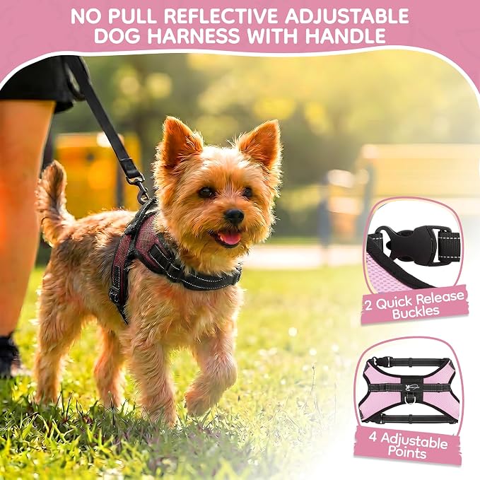 No Pull Reflective Adjustable Dog Harness with Handle- Comfortable Soft All Weather Mesh, Easy On Puppy Harness for Small Medium and Large Dogs (Pink) XX-Small