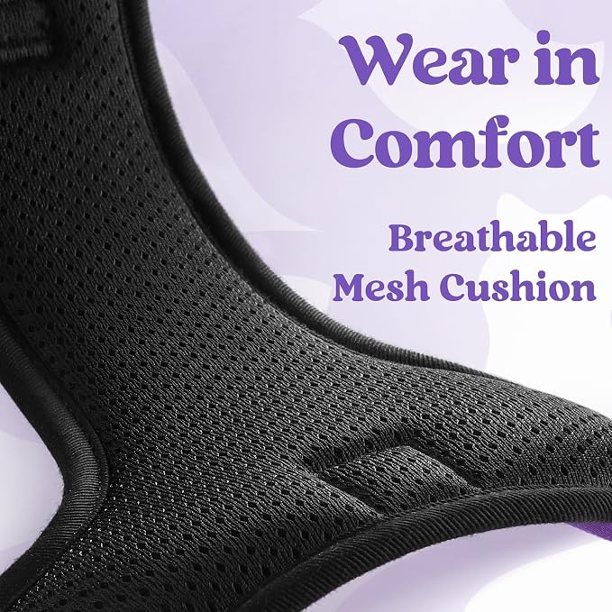 rabbitgoo Dog Harness for Large, No Pull Easy On & Off with 3 Buckles Pet Harness, Adjustable Soft Walking Vest with 2 Clips and Handle, Reflective for Large Dogs, Purple, L