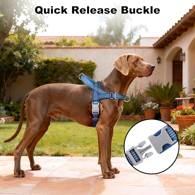 No Pull Dog Harness with Handle, Adjustable Soft Mesh Padded Reflective Walking Harness with Front Clip for Small Medium Large Dogs – Quick Fit No Escape for Training and Hiking (Blue, XS)