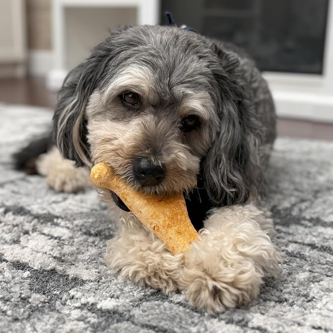 Fieldcrest Farms Nothin' to Hide Collagen-Based Dog Chews, Wishbone, Beef Flavor, Ultra-Premium, for Dogs Over 50lbs, Easily Digestible, Supports Skin, Coat, Joints & Muscles, 7-Inch, 2 Pieces