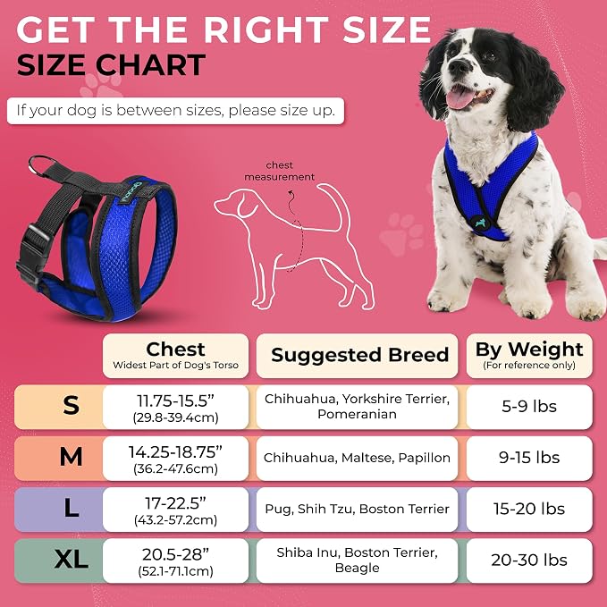 Gooby Comfort X Head In Harness - Blue, Medium - No Pull Small Dog Harness, Patented Choke-Free X Frame - Perfect on the Go Dog Harness for Medium Dogs No Pull or Small Dogs for Indoor and Outdoor Use