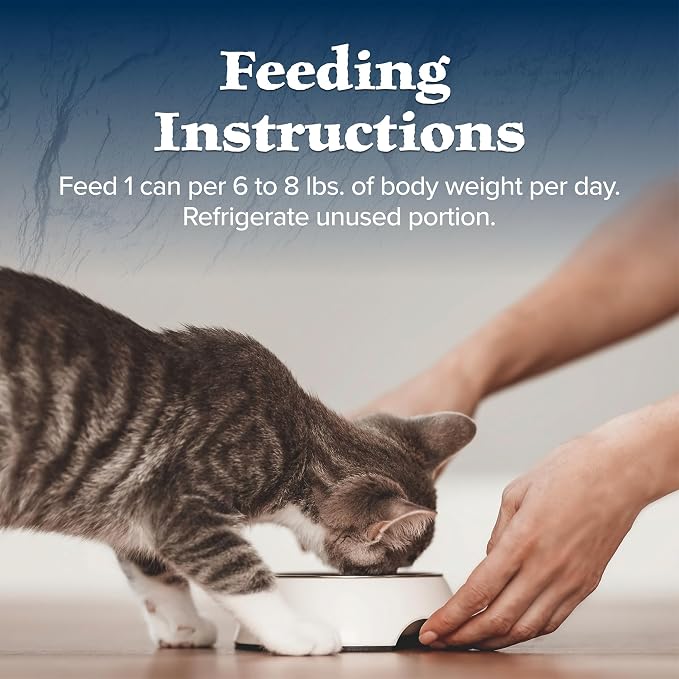 Blue Buffalo Wilderness Wild Delights Meaty Morsels Wet Cat Food,High-Protein & Grain-Free,Made with Natural Ingredients,Chicken & Turkey Recipe in Tasty Gravy,3-oz. Cans,(Pack of 48)