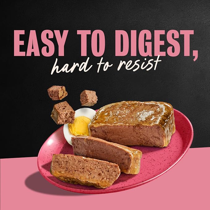 Cesar Classic Loaf in Sauce Wet Dog Food Breakfast Lovers, Smoked Bacon & Egg Flavor, and Scrambled Egg & Sausage Flavor, 3.5 oz. Easy Peel Trays, Wet Dog Food Variety Pack (12 Count, Pack of 2)