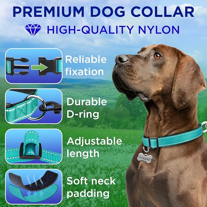 TECEUM Reflective Dog Collar – Teal – XXS – Extra Soft Padding – Basic Nylon Pet Collar – Quick Release Buckle – Fits Small, Medium and Large Dogs, Puppies, Cats – ESA & Service Dog Options