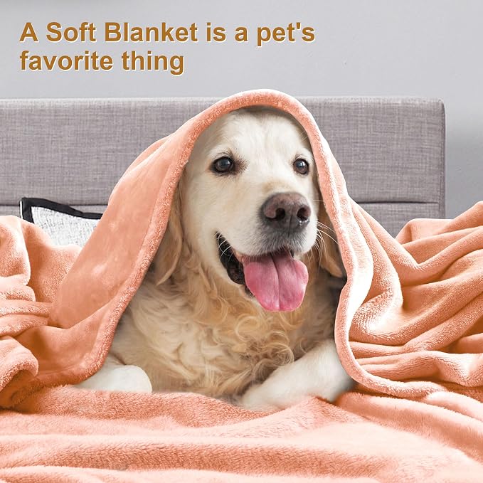 DREAMNINE Extra Large Soft Comfy Fluffy Fleece Bed Blanket Queen Size 90" x 90", Luxury Decorative Fuzzy Blanket for Bedroom, Big Cozy Shaggy Warm Flannel Blankets for Winter Autumn Pet, Peach