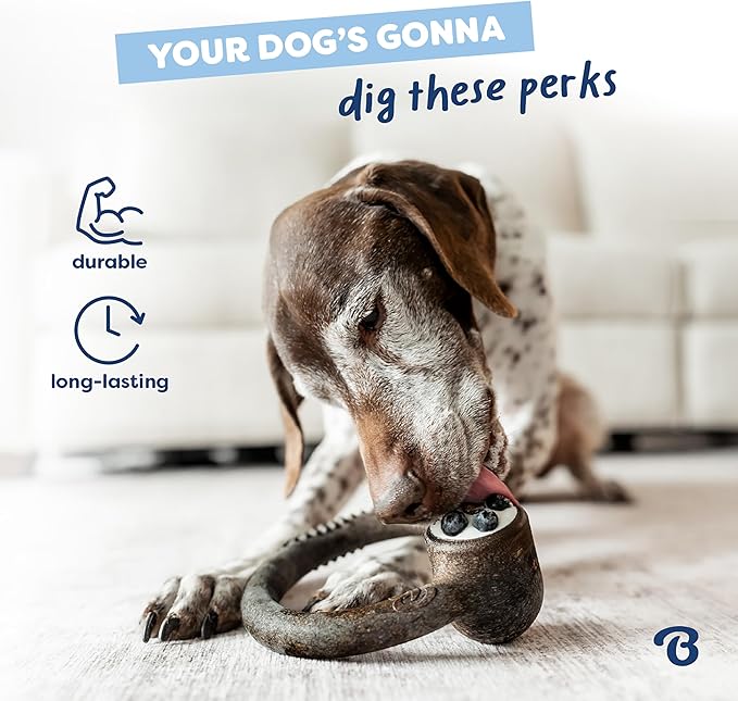 Benebone Ring Durable Dog Chew Toy for Aggressive Chewers – Limited Edition Blueberry Flavor, Small