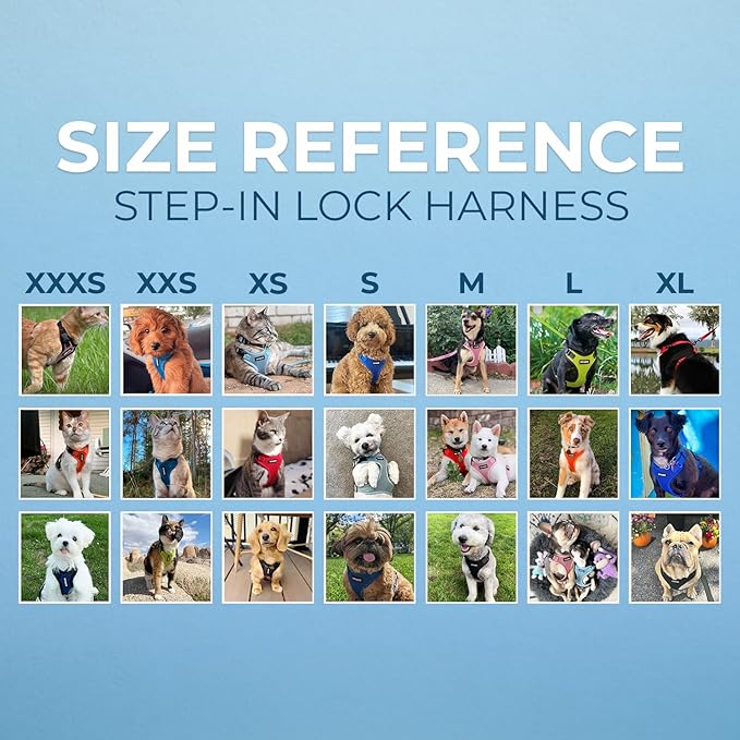 Voyager Step-in Pet Harness - All Weather Mesh, Adjustable Step in Harness for Cats and Dogs by Best Pet Supplies - Baby Blue, XS