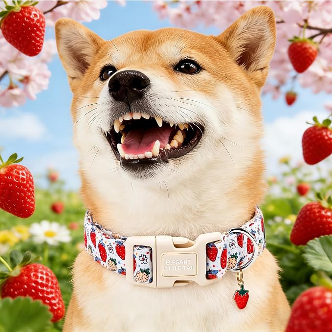 Elegant Little Tail Summer Dog Collar, Cute Pink Strawberry Pattern Soft Cotton Pet Collars with Sturdy Quick Release Buckle Female or Male Adjustable Pet Collar for X-Small Puppy