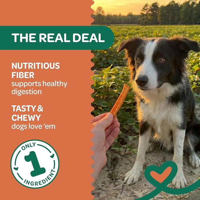 Wholesome Pride Healthy Sweet Potato Fries – Sensitive Stomach Dog Treats, No Preservatives, Single-Ingredient, No Grain, 16 oz