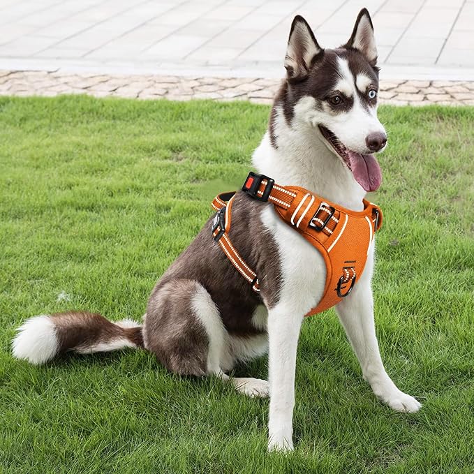 Timos Dog Harness Large Sized, No Pull Pet Harness with Neck Lockable Snap, No Choke Front Clip Reflective Vest, Adjustable Metal Rings 3 Buckles, Easy Control Handle for Large Dogs Pumpkin Orange L