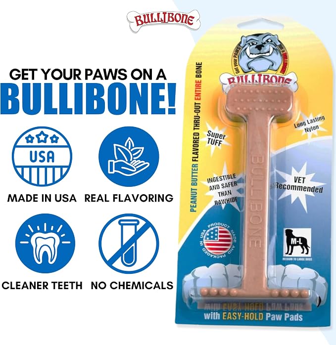 Bullibone Nylon Dog Chew Toy for Aggressive Chewers - Dental Hygiene Bone with Peanut Butter Flavor, Durable Tough Chew Toys for Large Dogs, Indestructible Dog Bone - 2 Pack