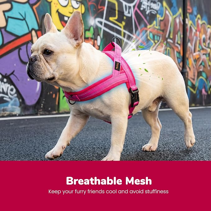 Didog No Pull Dog Harness with Breathable Mesh Padded,Reflective & Quick Fit Light Weight Dog Strap Vest Harness,Easy for Walking Training (S:Chest 18-22", Mesh-Hot Pink)