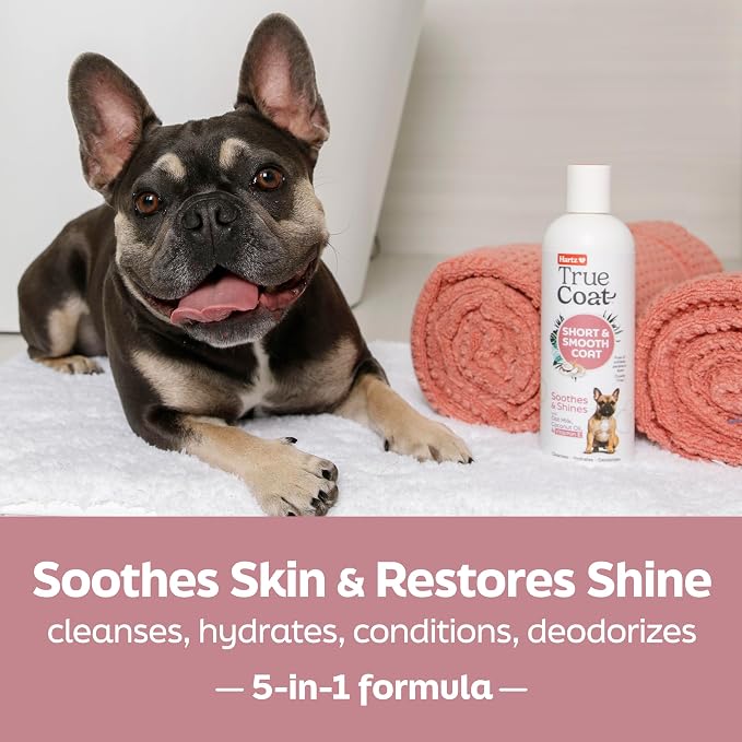 True Coat Short & Smooth Coat Dog Shampoo, 5 in 1 Soothes & Shines with Oat Milk, Coconut Oil & Vitamin E, 16 oz