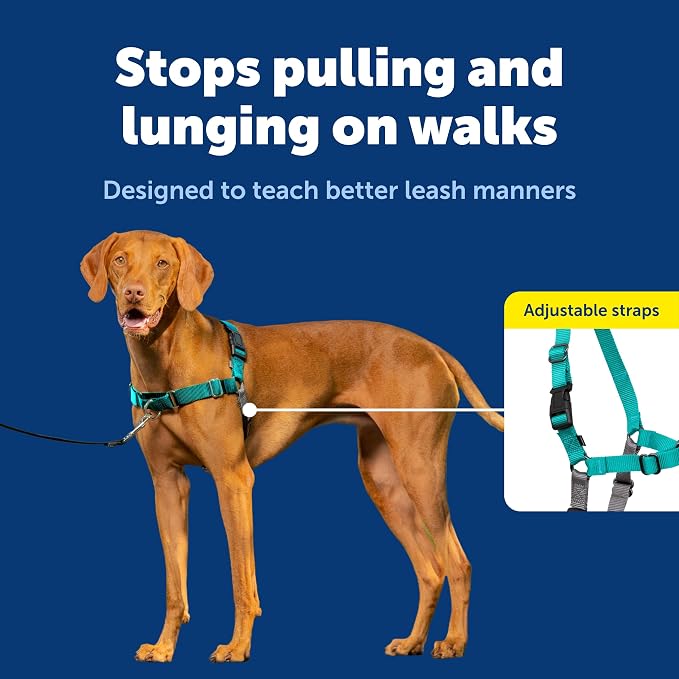 PetSafe Easy Walk Harness for Dogs - Pull-Free Walks - Patented Martingale Loop Design - Front Chest Leash Attachment - Comfort Straps - Breathable Harness Design - Medium, Teal/Gray