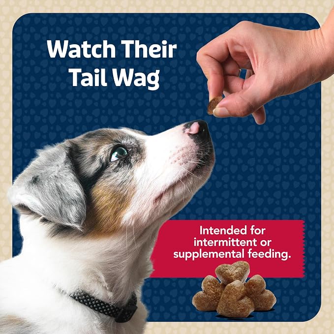 Blue Buffalo Bits Beef Soft & Chewy Dog Treats, Bite-Sized for Training, Made with Real Beef & Enhanced with DHA, Heart-Shaped Dog Treats, Made in the USA with Natural Ingredients, 19 oz.