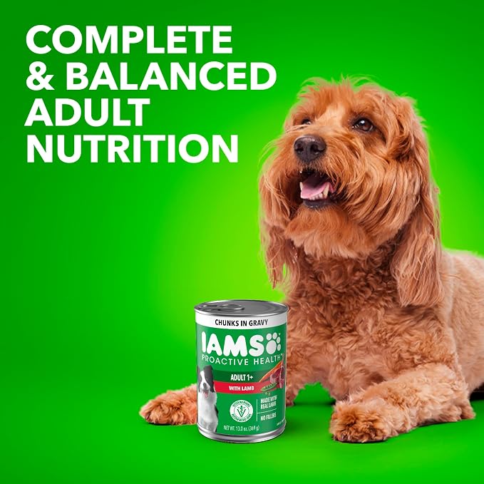 IAMS Proactive Health Wet Dog Food Adult, Canned Dog Food, Lamb Chunks in Gravy, 13 oz. Cans, Pack of 12