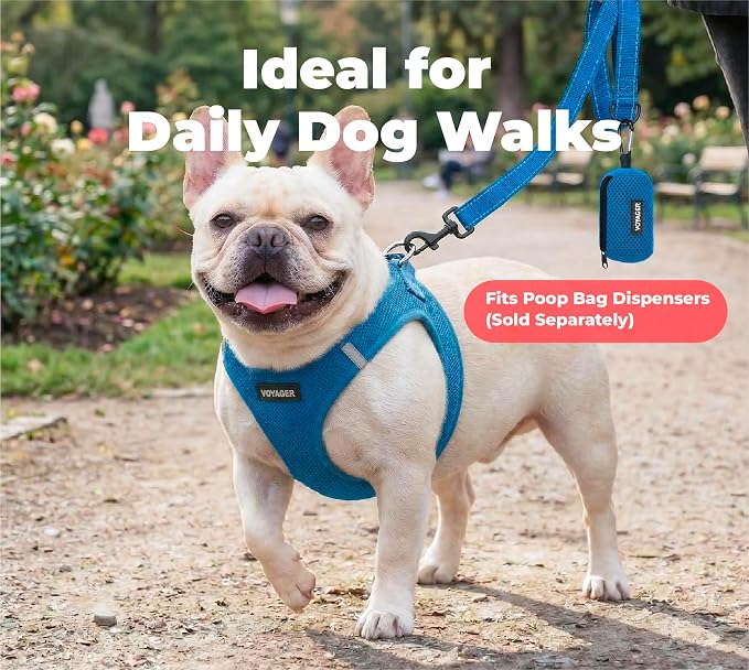Best Pet Supplies Voyager Reflective Dog Leash or Collar with Neoprene Handle, for Small, Medium, and Large Breed Puppies, Cute and Heavy Duty for Walking, Running and Training - Royal Blue (Leash), M