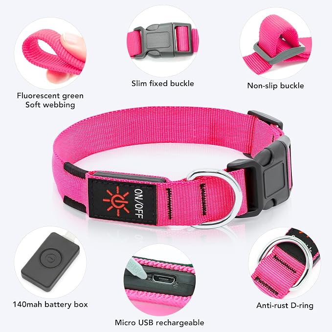 Light Up Dog Collar, Rechargeable USB Collar, Waterproof, Luminous LED Collar, Adjustable, Super Bright, Night Walking for Small Medium Large Dogs, Pink, M