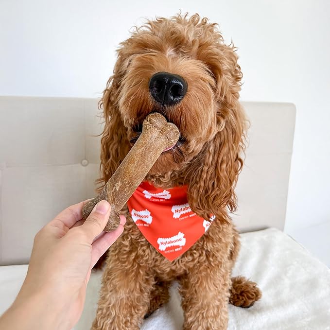 Nylabone Healthy Edibles Natural Dog Chews, Long Lasting Bones for Dogs, Bacon Flavor Dog Treats, Medium (7 Count)