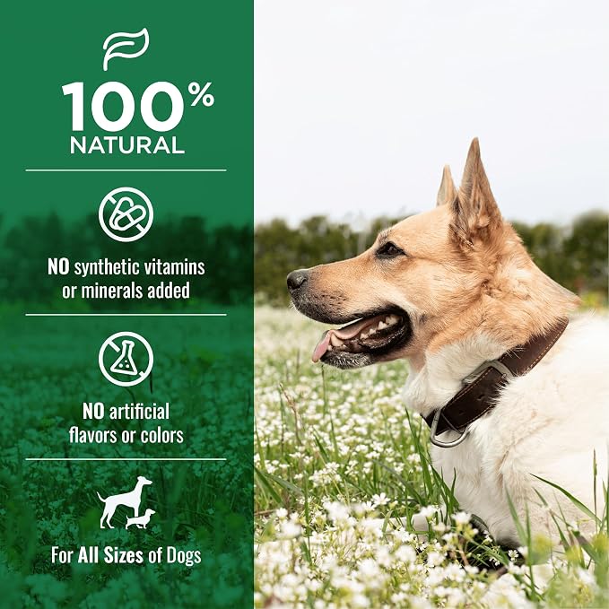 Nature's Logic All-Natural Beef Pizzle Chew Stick - Promotes Dental Hygiene - Recreational Dog Treat for Large/Medium Breeds - Natural Bully Stick - Beef Pizzle Treat