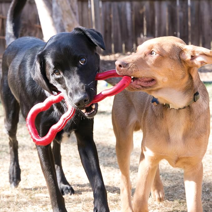 KONG Tug Toy - Dog Supplies for Tug of War - Natural Rubber Dog Toy for Outdoor & Indoor Playtime - for Medium/Large Dogs