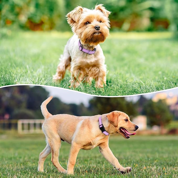 Reflective Dog Collar Padded with Soft Neoprene Breathable Quick Release Basic Dog Collars for Puppy Small Dogs Lavender