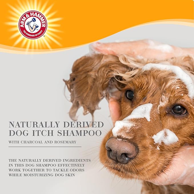 Arm & Hammer Ultra Fresh Charcoal Dog Shampoo with Rosemary Deep Cleansing Odor Control Baking Soda Deodorizing Pet Shampoo Pump Bottle Eucalyptus Mint Scent 24 FL OZ Single Bottle Dog Grooming