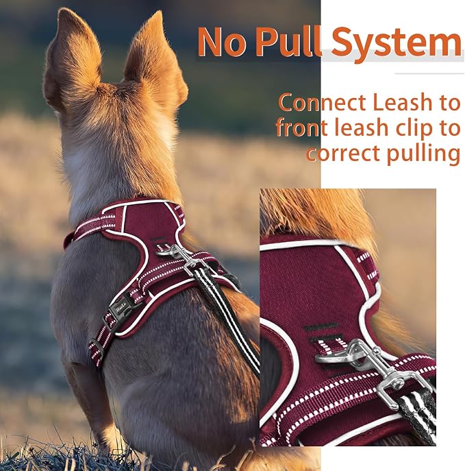 HEELE Dog Harness for Small Dogs No Pull Dog Vest Harness for Small Dog with Soft Padded Handle Reflective for Outdoor Training, Burgundy Red, S