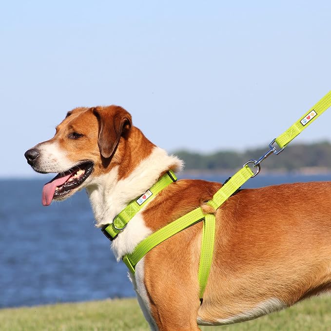 Pawtitas Reflective Step-in Dog Harness – Adjustable No-Pull Vest for Puppies to Seniors, Safe & Comfortable, XS Marsala