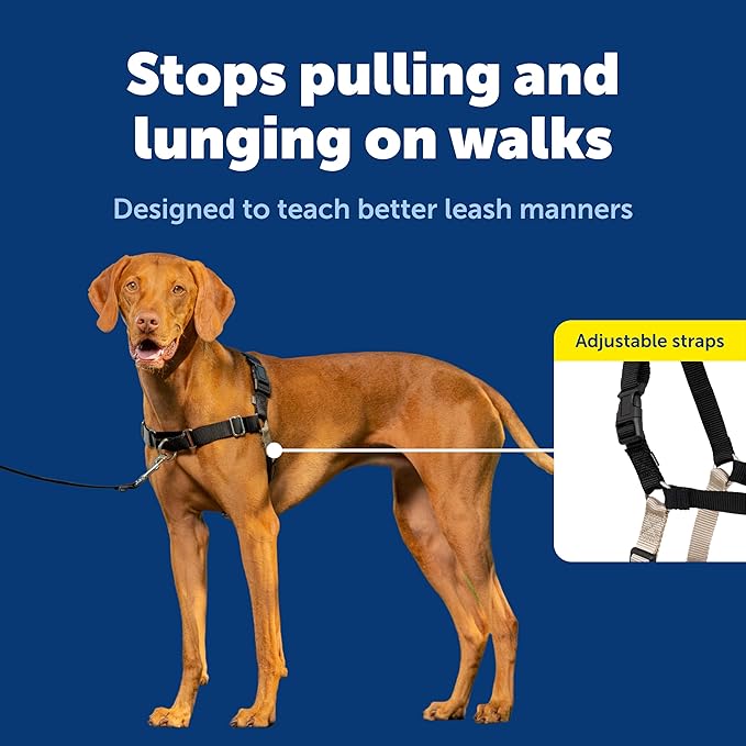 PetSafe Easy Walk No-Pull Dog Harness - Ultimate Harness to Help Stop Pulling - Pull-Free Walks - Take Control & Teach Better Leash Manners - Patented Martingale Loop Design - Black, Medium