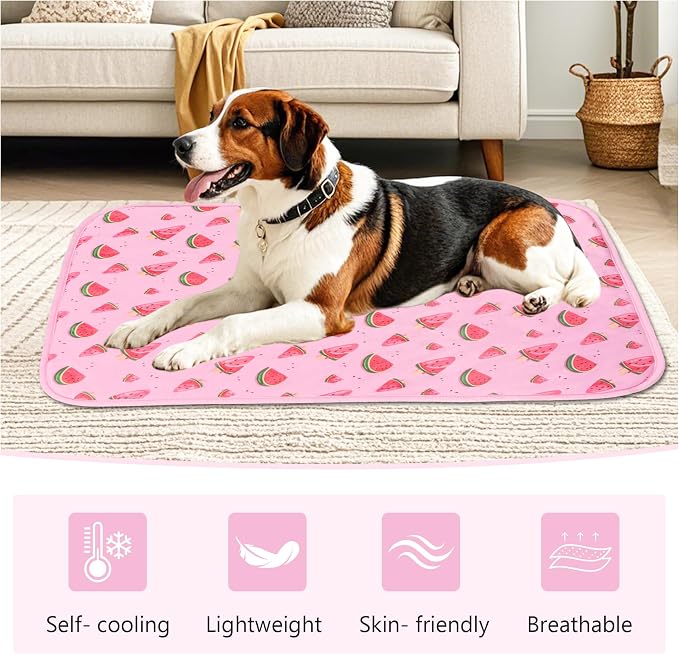 DELIFUR Cat Cooling Mat- Pet Cooling Mat Outdoor for Dogs Ice Pad for Kitten Cat Puppy Machine Washable (Medium, Pink Watermelon)