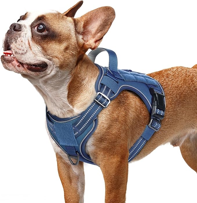 rabbitgoo Tactical Dog Harness for Small Dogs No Pull Adjustable Military Vest with Handle MOLLE Reflective Heavy Duty Dog Vest for Walking Training Hunting Outdoor Working Medium Size Dog Blue S