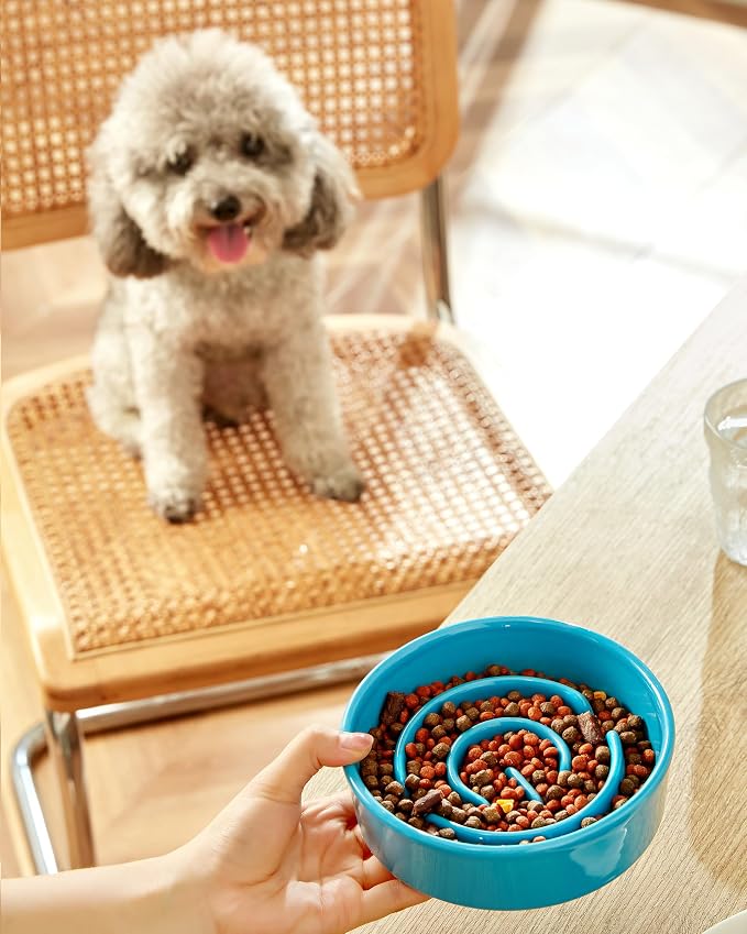 Ceramic Slow Feeder Dog Bowls, 0.6 Cup Slow Feeder for Small Dogs, Puzzle Maze Bowl, Prevents Choking, 6in, Blue