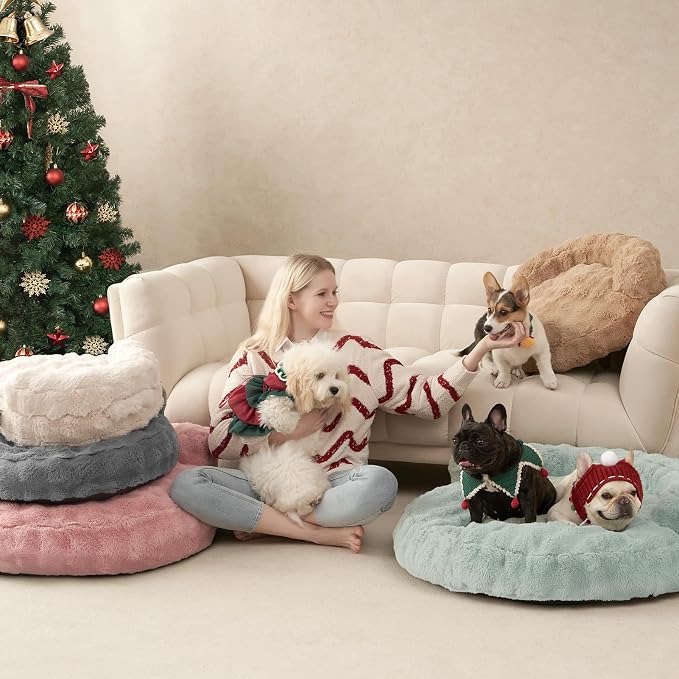 EHEYCIGA Soft Cat Couch Bed for Indoor Cats, Fluffy Extra Small Dog Bed with Removable Washable Cover, Bolster Pet Sofa, Waterproof and Non-Slip, 20" x 20"x 6.5", Cream
