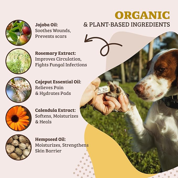 Natural Dog Company Paw Soother Balm Bundle, with 4 Travel Sticks (0.15 oz Each), Lotion, Moisturizes & Soothes Irritated Paws & Elbows, Protects from Cracks & Wounds, Lick-Safe, Made in USA