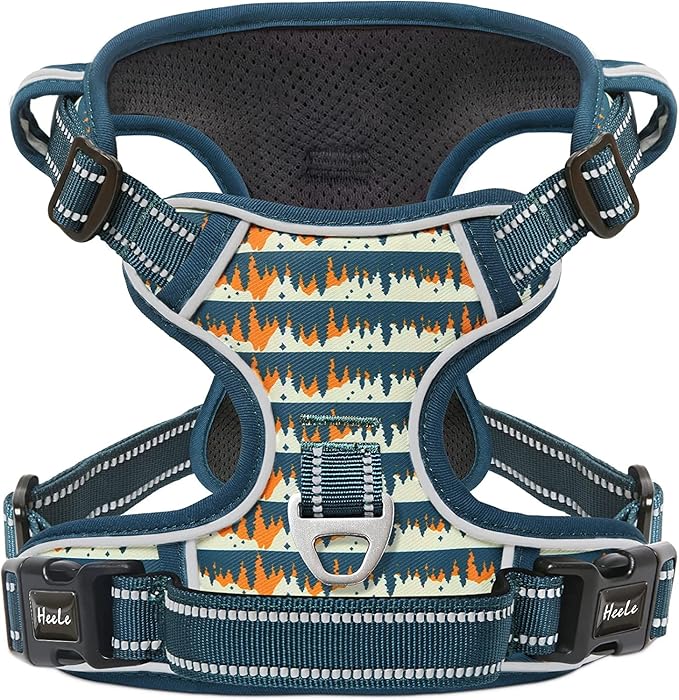 HEELE Dog Harness, No Pull Adjustable Padded Reflective Harness for Small Medium Large Dogs with Handle for Walking Training, Flower-Sunset Valley, S