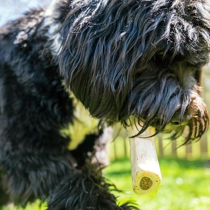 Cadet Stuffed Shin Bone, Long-Lasting Dog Chew Bones for Aggressive Chewers, High Protein Filled Bone Dental Chew for Dogs, Bully Stick Flavor Filling, 5-6" for Large Dogs