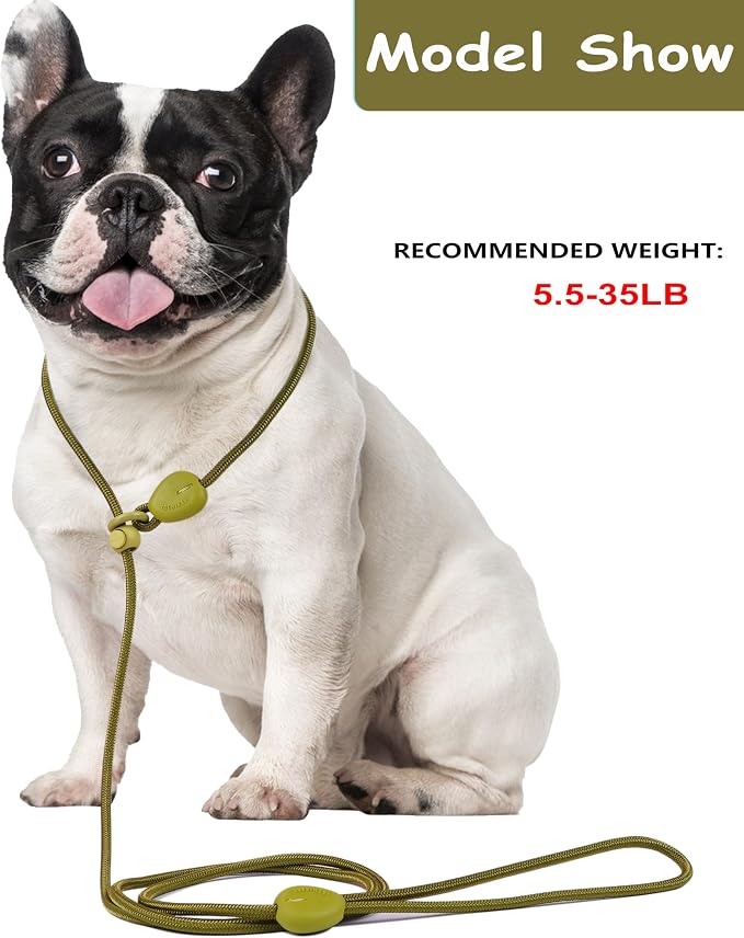 Green 6FT Heavy Duty Dog Training Leash - Comfortable Rope, No Pull, Suitable for Small to Medium Dogs