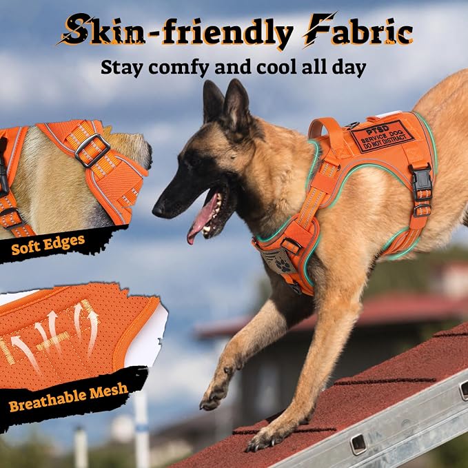 rabbitgoo Tactical Dog Harness for Small Dogs No Pull Adjustable Military Vest with Handle MOLLE Reflective Heavy Duty Dog Vest for Walking Training Hunting Outdoor Working Medium Size Dog Orange S