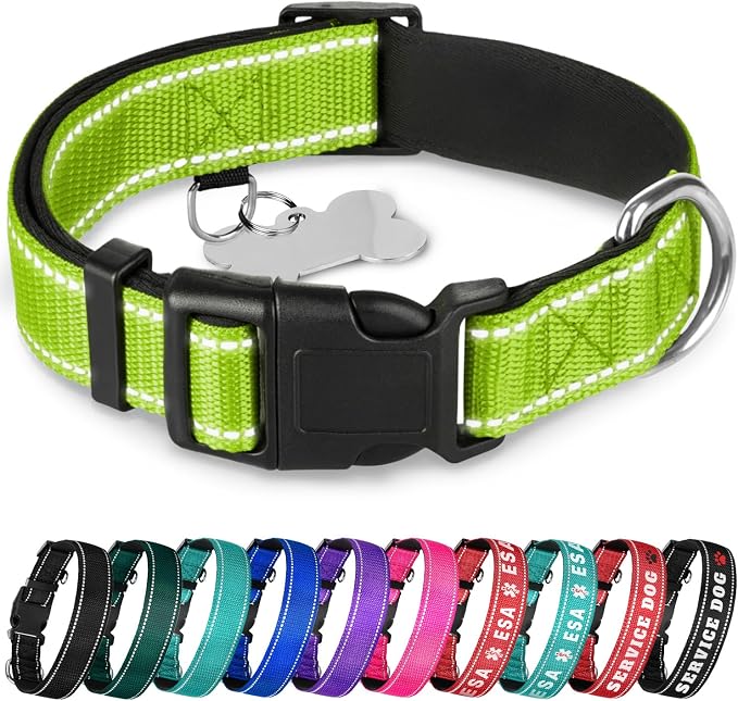 TECEUM Reflective Dog Collar – Acid Green – XL – Extra Soft Padding – Basic Nylon Pet Collar – Quick Release Buckle – Fits Small, Medium and Large Dogs, Puppies, Cats – ESA & Service Dog Options