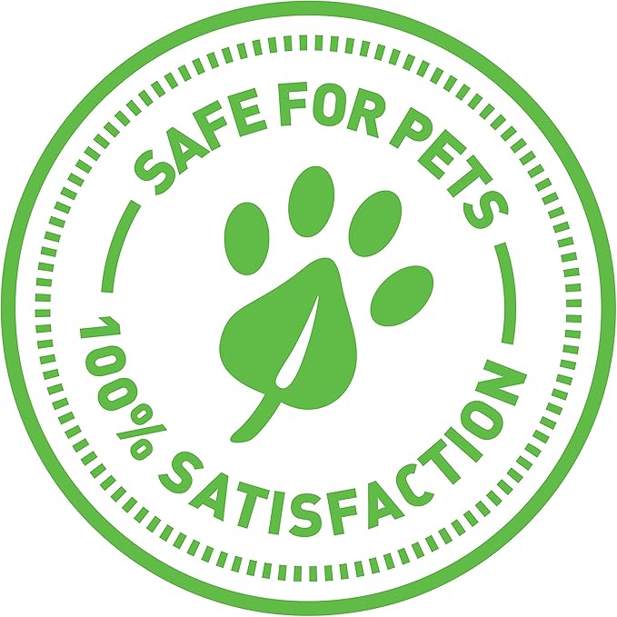 SmartyKat (2 Count) Fuzzy Friends Plush Catnip Ball Cat Toys - Rainbow/Turquoise, 2 Count