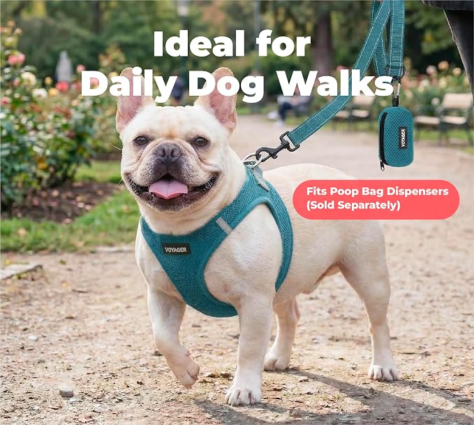 Best Pet Supplies Voyager Reflective Dog Leash or Collar with Neoprene Handle, for Small, Medium, and Large Breed Puppies, Cute and Heavy Duty for Walking, Running and Training - Turquoise (Leash), S