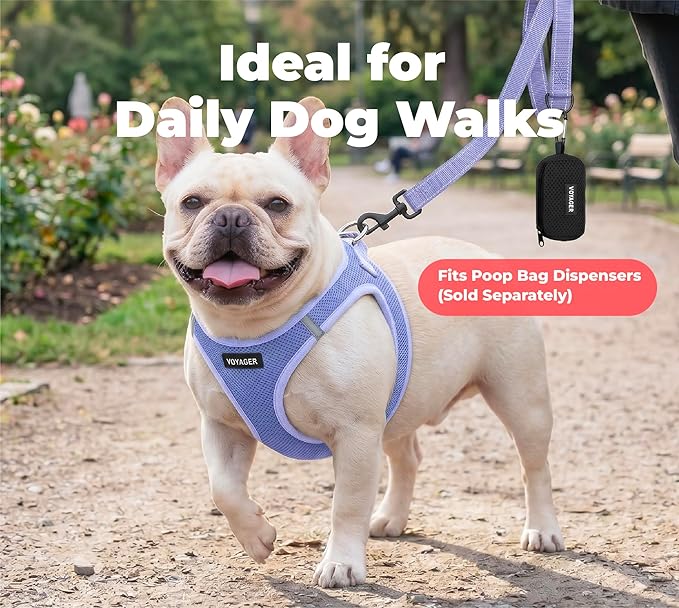 Best Pet Supplies Voyager Reflective Dog Leash or Collar with Neoprene Handle, for Small, Medium, and Large Breed Puppies, Cute and Heavy Duty for Walking, Running and Training - Lavender (Leash), S